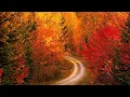 Download Lagu Instrumental Acoustic Indie/Folk Playlist, Chill Music \