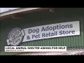 Greenville County Animal Care asking for help