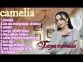 Download Lagu Camelia,Ikan Didalam Kolam, Mengejar Badai Tasya Rosmala Versi Terbaik 2024
