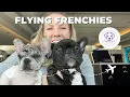 What s it like to be a flight nanny during the holidays