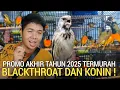Lagu PASAR BURUNG ! PROMO SADIS BLACKTHROAT DAN KONIN KIOS SIGIT PASAR BURUNG PRAMUKA HARI INI 