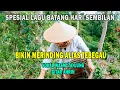 Download Lagu BATANG HARI SEMBILAN Oleh Wasmi FULL LAGU LEGENDARIS