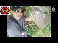Download Lagu Siulan Pemanggil Ikan Durasi 1 Jam, Ampuh memanggil ikan sampai puas