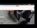 Creating Multi Language Sites Tutorial by Without Code