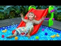 Download Lagu KiKi Monkey has fun at the Water Park and play with Waterslides | KUDO ANIMAL KIKI