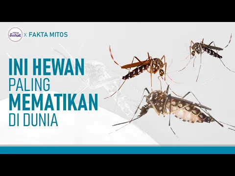 Ini Alasan Nyamuk Jadi Hewan Paling Mematikan di Dunia