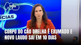 Exumação do cão Orelha marca nova fase da investigação