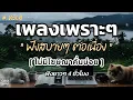 Download Lagu รวมเพลงเพราะๆ ฟังสบายๆ 2025 | ฟังยาวๆต่อเนื่อง 4 ชั่วโมง ไม่มีโฆษณาคั่นบ่อย