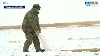 В Омской области охотинспекторы приступили к подкормке кабанов