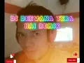 Download Lagu DJ DEEWANA TERA HAI REMIX2023