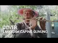 Download Lagu Cover langgam Caping Gunung By suling Surogading