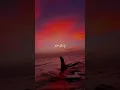 Download Lagu JAMAL UL WUJUDI || SLOWED \u0026 REVERB || 2025 || ANIMATION #nasheed