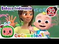 Download Lagu Mengenal Lima Panca Indra Manusia | CoComelon Bahasa Indonesia - Lagu Anak Anak | Nursery Rhymes