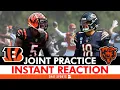 Bengals vs Bears Joint Practice INSTANT REACTION Takeaways Tee Higgins Dexter Lawrence
