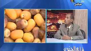 شارع الجنوب 15 12 2017 