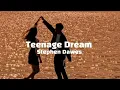 Teenage Dream - Stephen Dawes 《speed up》