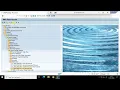 SAP FICO GL MASTER LISTS ELEMENT LISTS