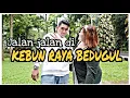 Download Lagu jalan - jalan sore di KEBUN RAYA BEDUGUL