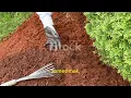 Download Lagu No-Till Gardening: The Secret to Easier, Healthier Plants