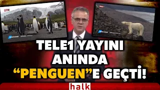 tele1 e kayyum atandi yay n ak kesildi penguen belgeseli an nda ak a konuldu 