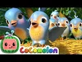 Download Lagu Five Little Birds 3 | CoCoMelon Nursery Rhymes \u0026 Kids Songs