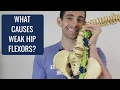 Download Lagu What Causes Weak (and Tight) Hip Flexors?
