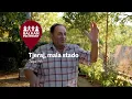 Download Lagu Tjeraj, mala, stado – Žegar, HR