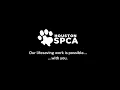 Houston SPCA 2024 Mission