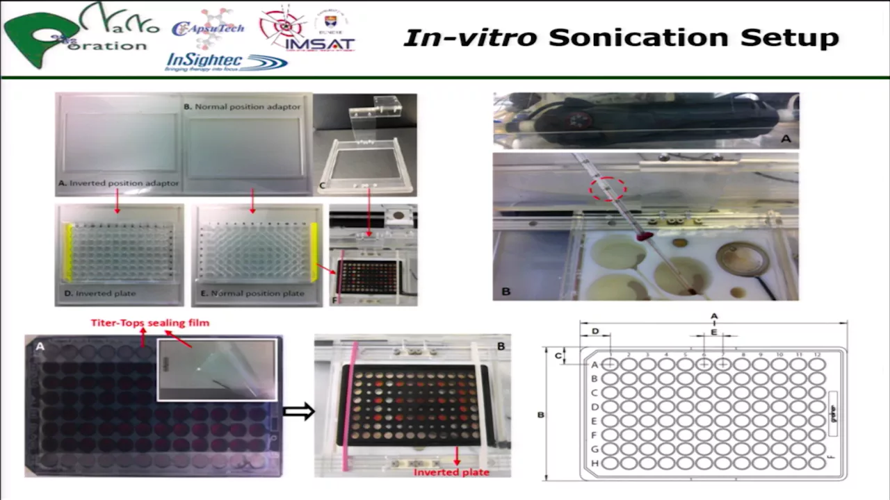 Xu - Targeted drug delivery with cyclodextrin-based nanocarriers & FUS triggering (2016)
