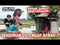 Lagu Mencurigakan sekali !! ENTHUL DITENGAH SAWAH SAMA SIAPA TUH ??