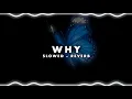Why - VntGaba | Slowed Reverb | Bass Boosted | Lofi | Bass Bhaiya | #slowedbass #lofi #slowed_reverb