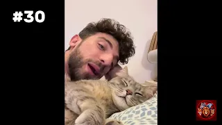 The Cutest Moments Between Cats and Their Owners 🐱❤️