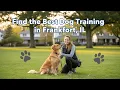 Find the Best Dog Training in Frankfort Illinois