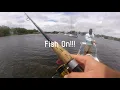 Ankona Shadowcast Indian River Fishing FISH ON
