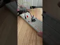 Blinking Led using Raspberry Pi with push button