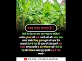 Download Lagu केले के पेड़ पर जल कब चढ़ाना चाहिए?#god #mantra #motivation #youtubeshorts #ytshorts #shorts