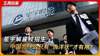 星宇为什么要解雇校招生？在中国为什么只有“告洋状”才有用？|王局拍案20260907