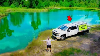 Stocking 3 000 New Fish in the Backyard Pond