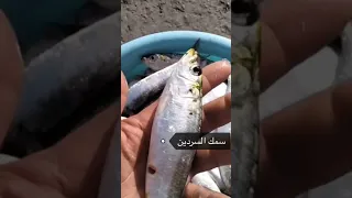 علاج انسداد الشرايين  علاج انسداد الشرايين