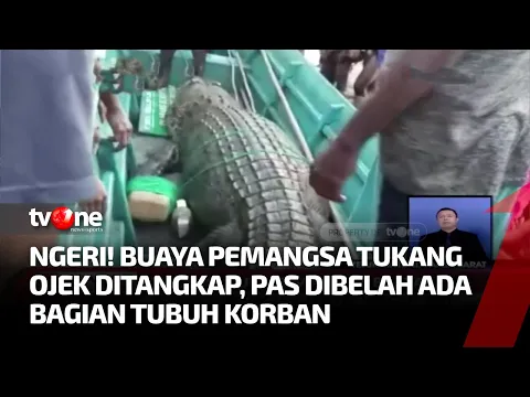 Akhir Hidup Tukang Ojek di Teluk Bintuni Mengenaskan di dalam Perut Buaya