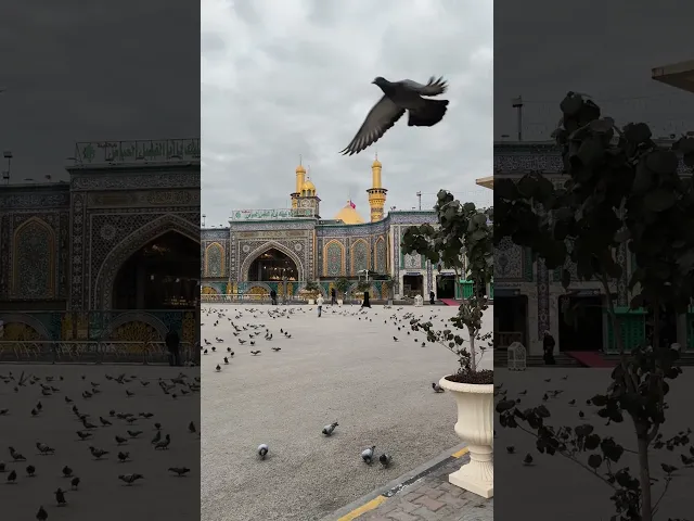 ⁣وكلما وقفت بباب العباس قبل الكلام اعطاني مرادي