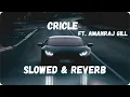 CIRCLE | SLOWED & REVERB | FT. AMANRAJ GILL | MANISHA SHARMA SHIVANI YADAV | NEW HARYANVI SONG |
