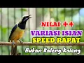 Download Lagu Masteran handal cucak cungkok variasi isian full tembakan panjang