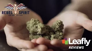 Rebel Berry OG by Rebel Spirit Cannabis Leafly Reviews