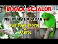 Download Lagu Irama Lagu Sejalur Disertai Tembakan‼️Pas Buat Trotol dan Pastol Anda