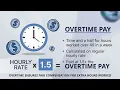 Overtime Pay Tax Calculator - Calculate Time-and-a-Half Pay