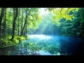 Download Lagu 4 Hours of Acoustic Serenity – Relax, Unwind, and Reconnect