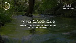 Live Quran Recitation With English Translation 