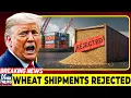 Download Lagu BREAKING! U.S. Wheat Shipments Rejected – Buyers Flood Canadian Markets Instead