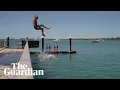 Download Lagu Popping a manu: New Zealand searches for dive-bombing champion